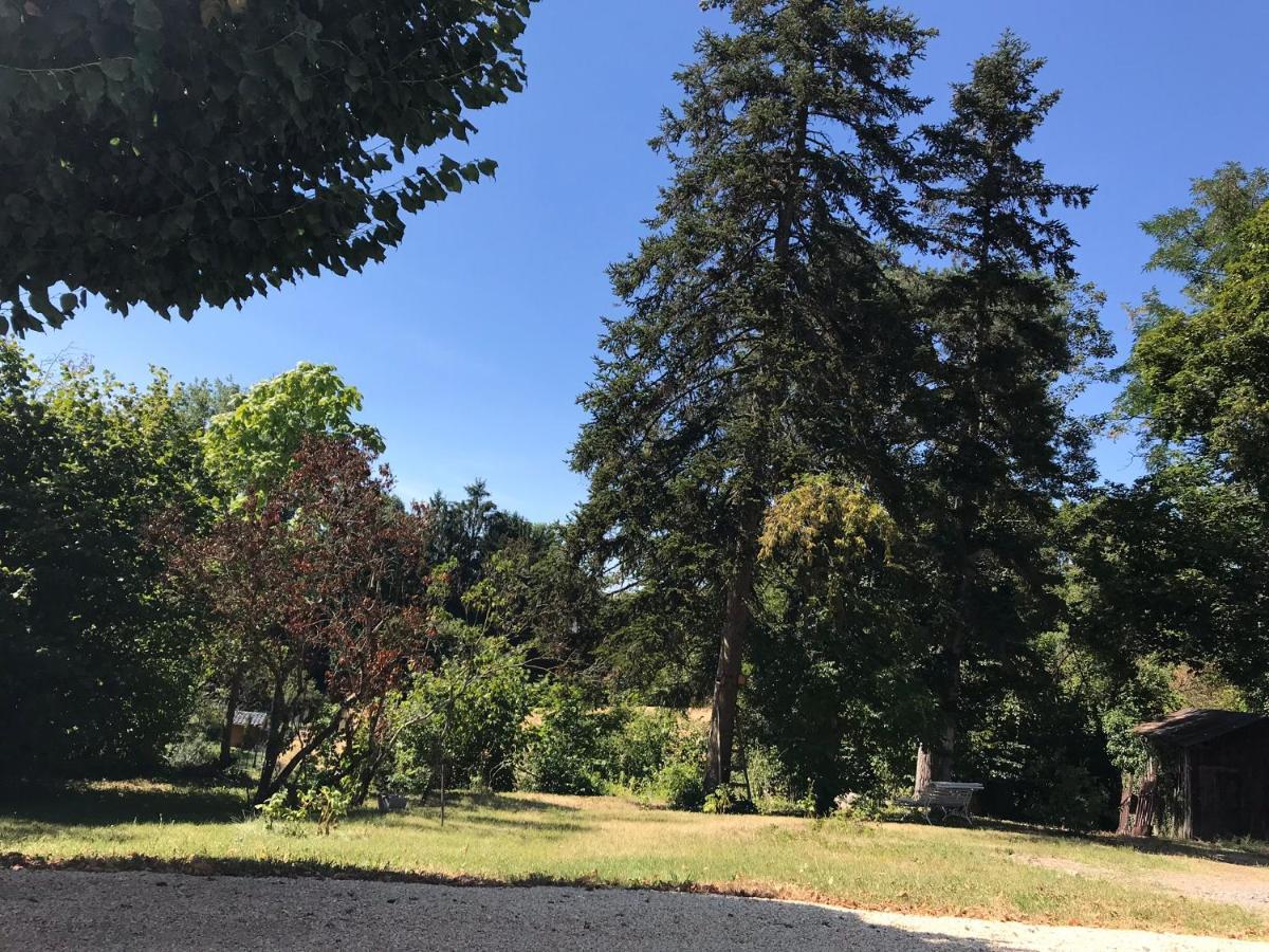 Charmant F1 Avec Terrasse Et Vue Sur Jardin Arbore - Fraicheur Naturelle Du Rez De Jardin - Parking Bellerive-sur-Allier Kültér fotó